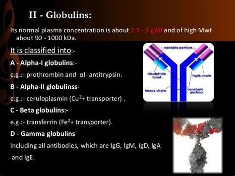 beta1globulina