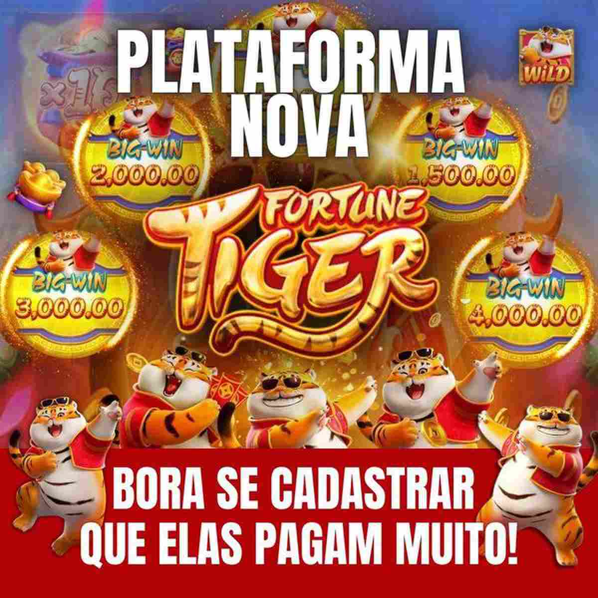 ccwin plataforma